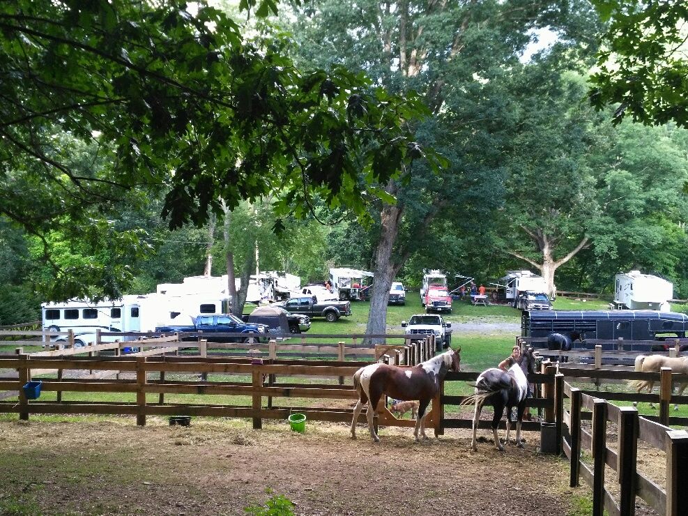 paddocks and campers