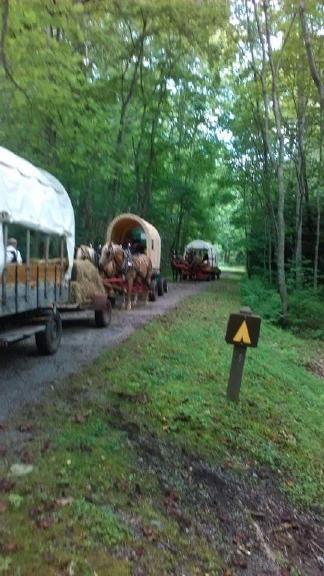 A wagon train on the Greenbrier River Trail